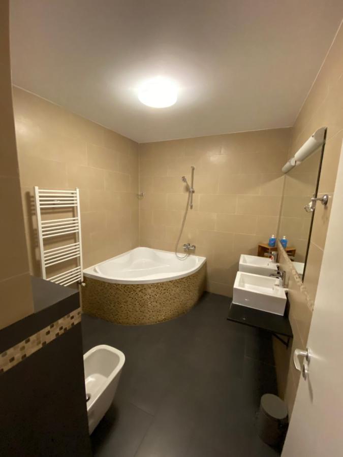 Gaga Residence 3 Temeşvar Dış mekan fotoğraf